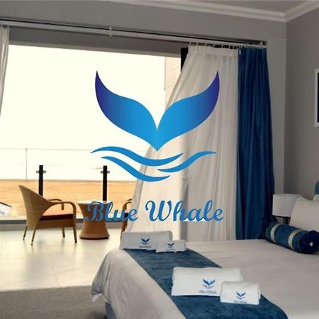 Blue Whale Hotels Γουάλβις Μπέι Εξωτερικό φωτογραφία